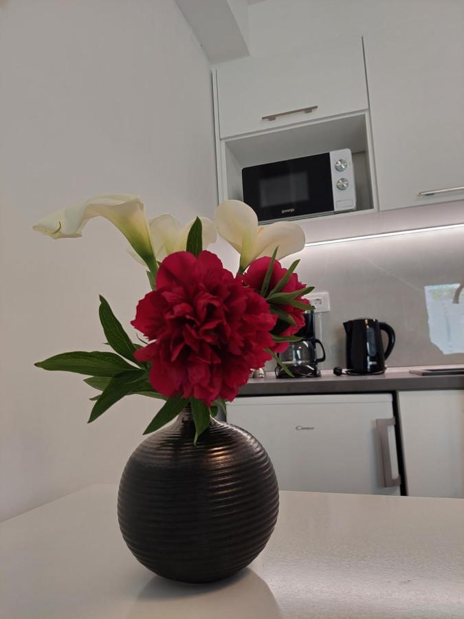 דוברובניק Apartment Mara מראה חיצוני תמונה